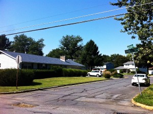 Ancient Oaks in Lower Macungie Township