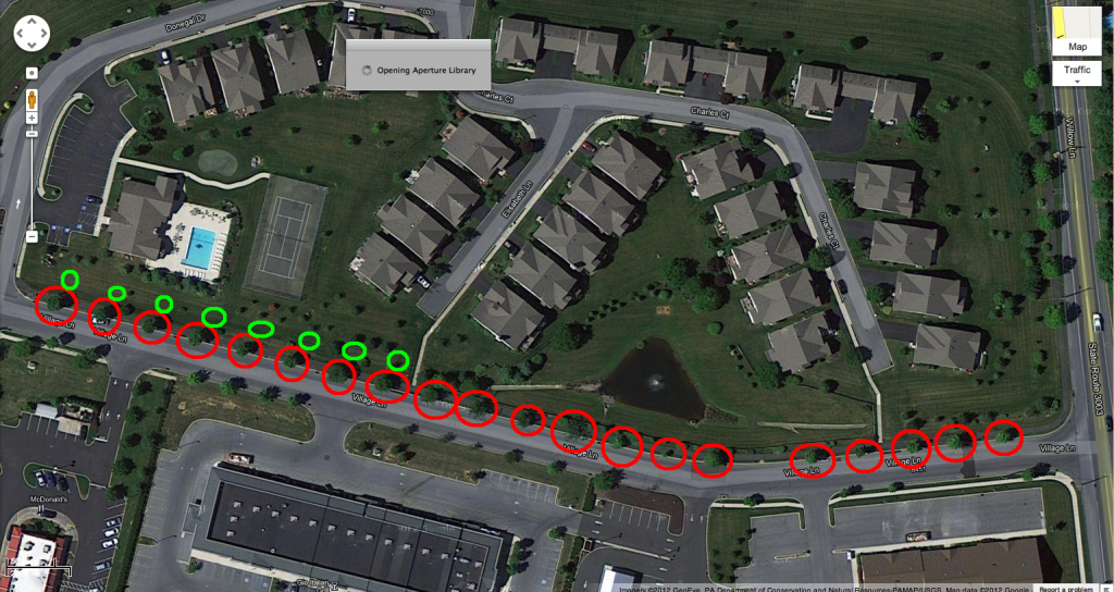 Legacy Oaks Street Tree Removal Lower Macungie Township