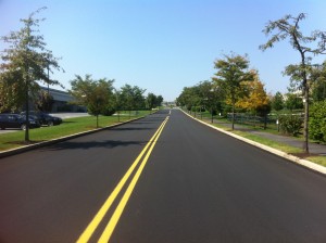 Street Trees along Legacy Oaks in Lower Macungie Township